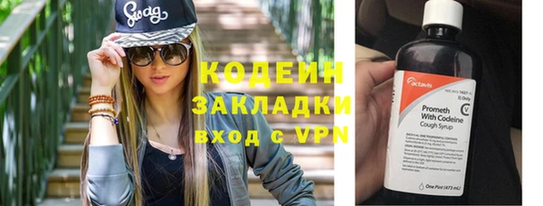 ГАЛЛЮЦИНОГЕННЫЕ ГРИБЫ Арсеньев