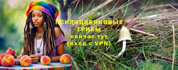 альфа пвп Армянск