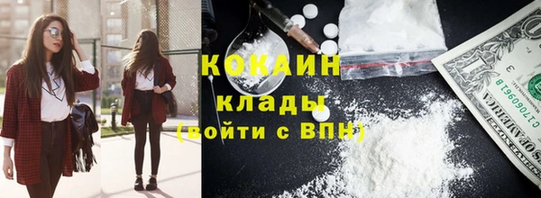 ГАЛЛЮЦИНОГЕННЫЕ ГРИБЫ Арсеньев