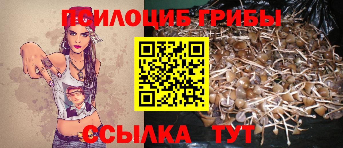 Арзамас  Галлюциногенные грибы мухоморы  Псилоцибиновые грибы GOLDEN TEACHER  Вход с VPN 